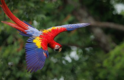 Engaged-Education-Costa-Rica-1