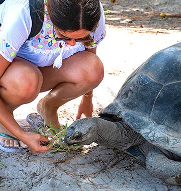Engaged Education Educational Trips Ecuador