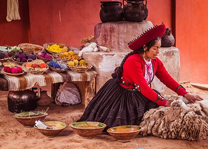 Engaged-Education-Peru-8