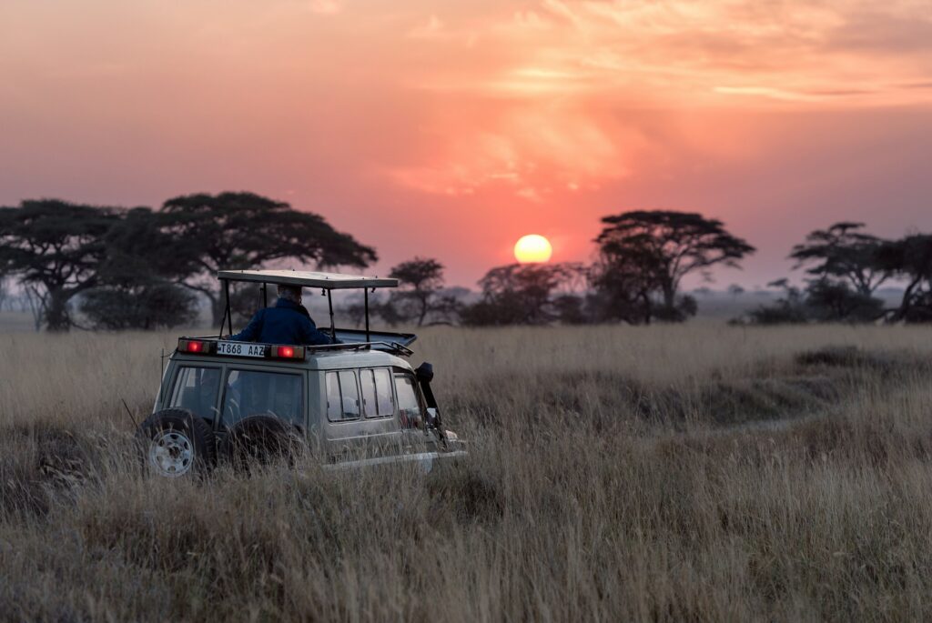 Travel to Tanzania
