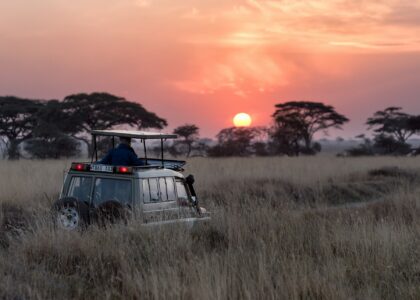 Travel to Tanzania