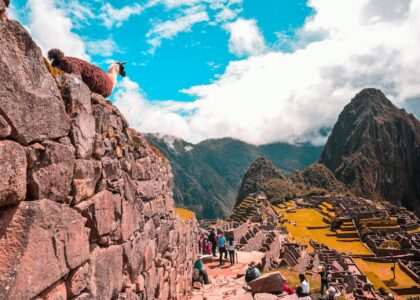 explore Machu Picchu