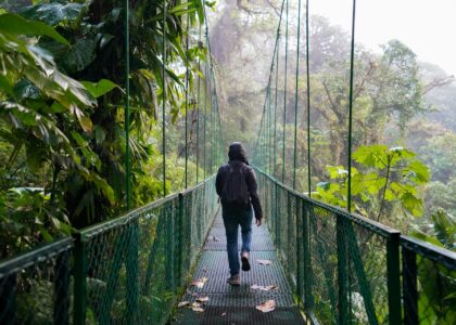 costa rica bridge